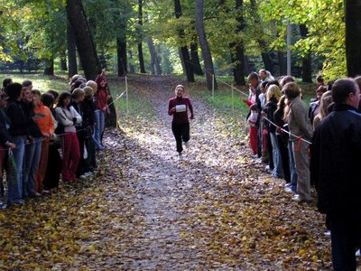 Студенты – девушки